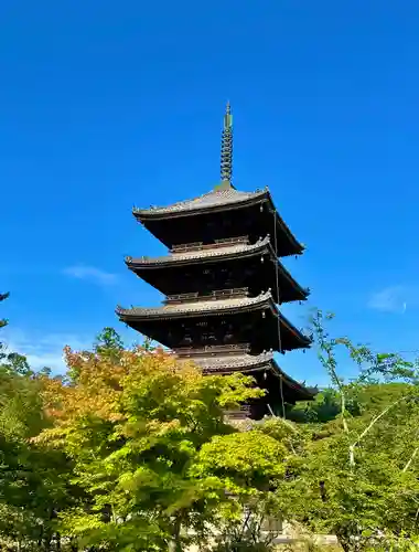 仁和寺の塔