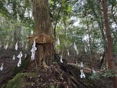 佐為神社の{uncategorized: "未分類", other: "その他", undefined: "問題あり", building: "その他建物", grave: "お墓", sacred_gate: "鳥居", guardian: "狛犬", statue: "像", buddha: "仏像", history: "歴史", nature: "自然", garden: "庭園", animal: "動物", pagoda: "塔", temizu: "手水舎", mountain_gate: "山門・神門", sanctuary: "本殿・本堂", subordinate: "末社・摂社", art: "芸術", scenery: "景色", jizo: "地蔵", ema: "絵馬", goshuin: "御朱印", omikuji: "おみくじ", items: "授与品その他", amulet: "お守り", goshuincho: "御朱印帳", eats: "食事", festival: "お祭り", votive_dance: "神楽", shichigosan: "七五三参", wedding: "結婚式", experience: "体験その他", initially: "初詣", around: "周辺", anti_infection: "感染症対策"}