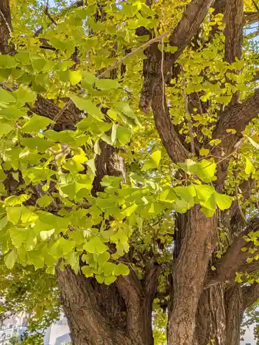 仙寿院(東京都)