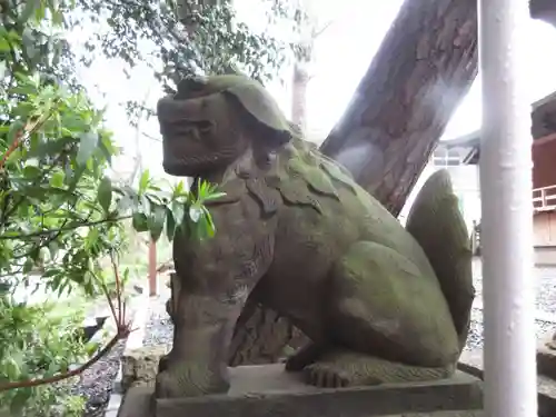 上目黒氷川神社の狛犬