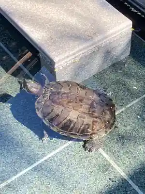 勝楽寺(東京都)