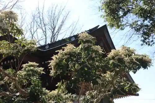 熊野福藏神社の自然