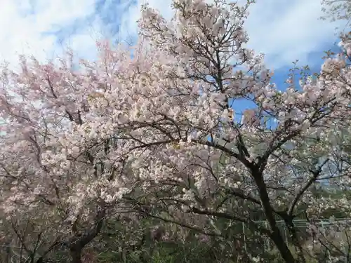 不動寺(埼玉県)
