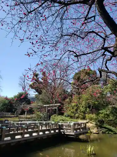 東郷神社の自然