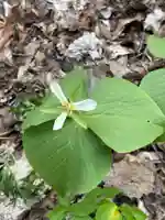 端野神社(北海道)