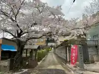 成田観音 円応寺の{uncategorized: "未分類", other: "その他", undefined: "問題あり", building: "その他建物", grave: "お墓", sacred_gate: "鳥居", guardian: "狛犬", statue: "像", buddha: "仏像", history: "歴史", nature: "自然", garden: "庭園", animal: "動物", pagoda: "塔", temizu: "手水舎", mountain_gate: "山門・神門", sanctuary: "本殿・本堂", subordinate: "末社・摂社", art: "芸術", scenery: "景色", jizo: "地蔵", ema: "絵馬", goshuin: "御朱印", omikuji: "おみくじ", items: "授与品その他", amulet: "お守り", goshuincho: "御朱印帳", eats: "食事", festival: "お祭り", votive_dance: "神楽", shichigosan: "七五三参", wedding: "結婚式", experience: "体験その他", initially: "初詣", around: "周辺", anti_infection: "感染症対策"}