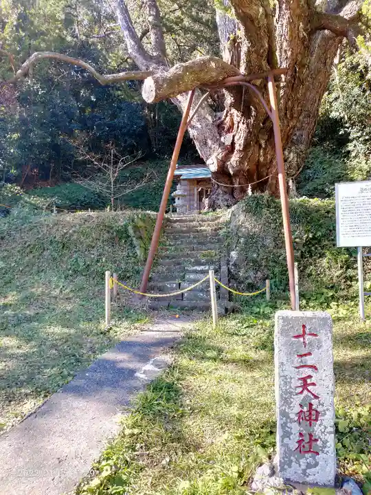 十二天神社(千葉県)