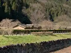 朝倉神社の自然