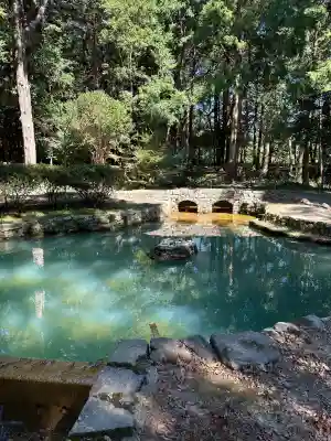 大麻比古神社(徳島県)