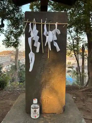 浅間神社(千葉県)