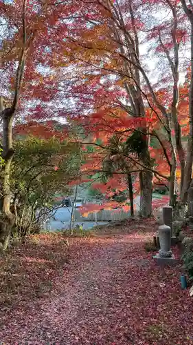美濃夜神社(三重県)