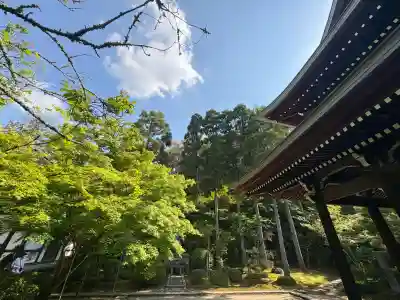 酬恩庵一休寺の{uncategorized: "未分類", other: "その他", undefined: "問題あり", building: "その他建物", grave: "お墓", sacred_gate: "鳥居", guardian: "狛犬", statue: "像", buddha: "仏像", history: "歴史", nature: "自然", garden: "庭園", animal: "動物", pagoda: "塔", temizu: "手水舎", mountain_gate: "山門・神門", sanctuary: "本殿・本堂", subordinate: "末社・摂社", art: "芸術", scenery: "景色", jizo: "地蔵", ema: "絵馬", goshuin: "御朱印", omikuji: "おみくじ", items: "授与品その他", amulet: "お守り", goshuincho: "御朱印帳", eats: "食事", festival: "お祭り", votive_dance: "神楽", shichigosan: "七五三参", wedding: "結婚式", experience: "体験その他", initially: "初詣", around: "周辺", anti_infection: "感染症対策"}