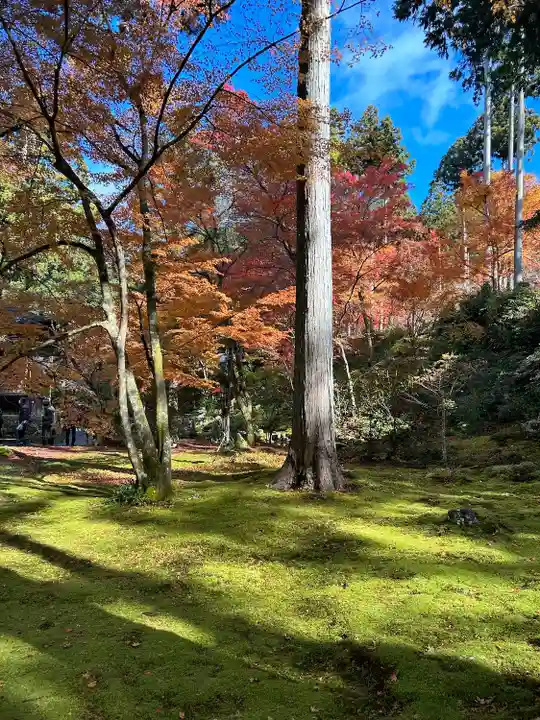 三千院門跡(京都府)