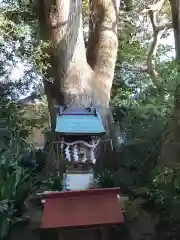 芳養八幡神社の本殿