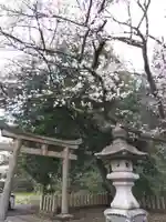 春日神社(福井県)