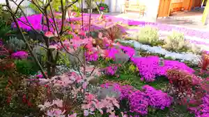 寿量山 速成寺の自然(2021年04月10日(土) 12時12分03秒投稿)