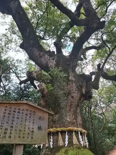 熱田神宮(愛知県)