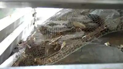 坐摩神社のその他建物