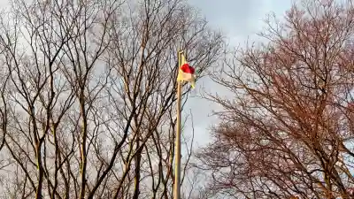 亀田八幡宮(北海道)