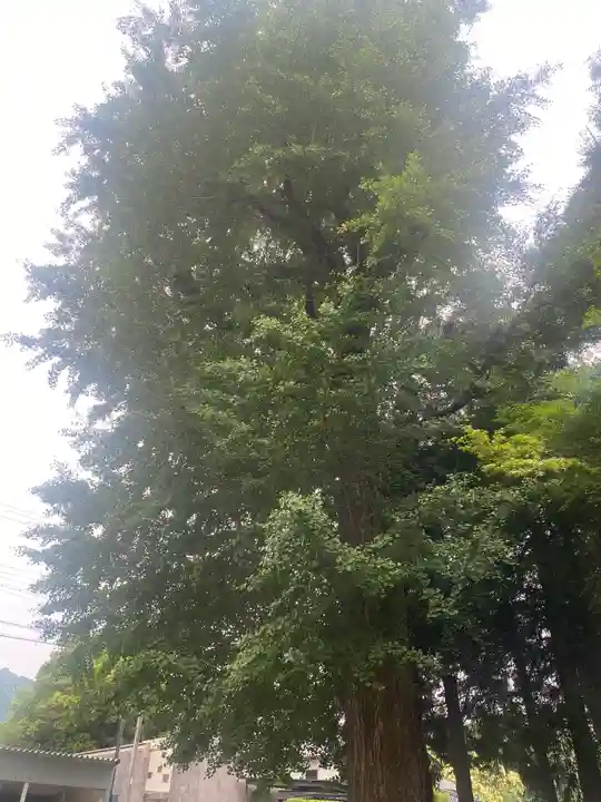 神門神社(兵庫県)