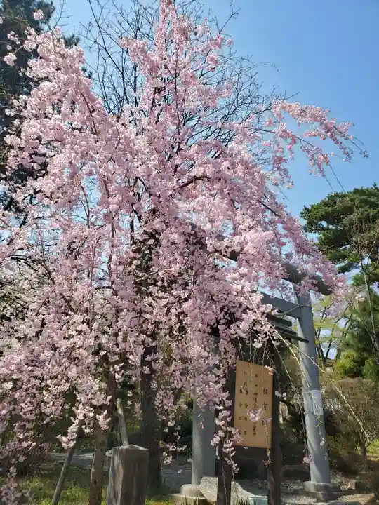 開成山大神宮の自然