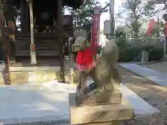 安居神社の狛犬