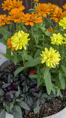 香雪院(京都府)