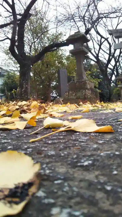 愛宕神社の自然