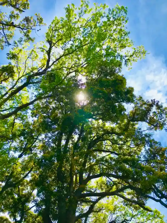 愛宕神社の自然