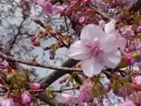 かっぱの寺 栖足寺の自然