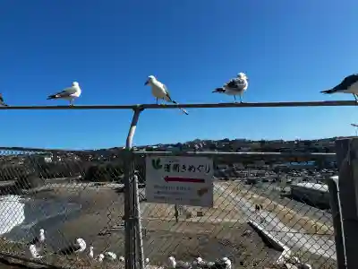 蕪嶋神社の{uncategorized: "未分類", other: "その他", undefined: "問題あり", building: "その他建物", grave: "お墓", sacred_gate: "鳥居", guardian: "狛犬", statue: "像", buddha: "仏像", history: "歴史", nature: "自然", garden: "庭園", animal: "動物", pagoda: "塔", temizu: "手水舎", mountain_gate: "山門・神門", sanctuary: "本殿・本堂", subordinate: "末社・摂社", art: "芸術", scenery: "景色", jizo: "地蔵", ema: "絵馬", goshuin: "御朱印", omikuji: "おみくじ", items: "授与品その他", amulet: "お守り", goshuincho: "御朱印帳", eats: "食事", festival: "お祭り", votive_dance: "神楽", shichigosan: "七五三参", wedding: "結婚式", experience: "体験その他", initially: "初詣", around: "周辺", anti_infection: "感染症対策"}