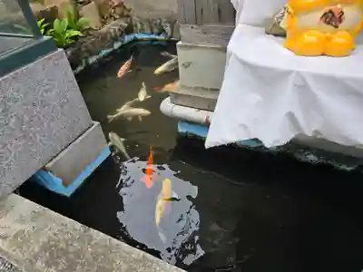 福生寺(和歌山県)