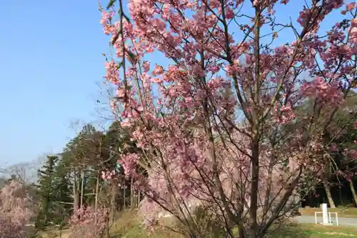 阿久津「田村神社」（郡山市阿久津町）旧社名：伊豆箱根三嶋三社の庭園