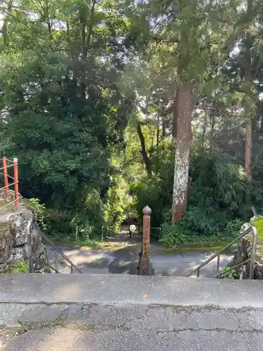 清滝寺の建物その他