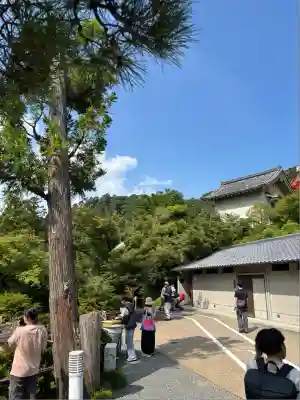 清水寺(京都府)