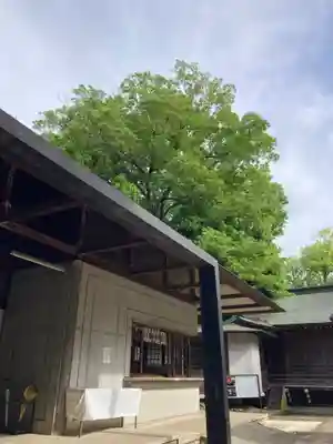 常陸國總社宮(茨城県)