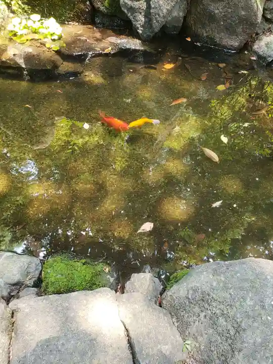 熊野神社(東京都)