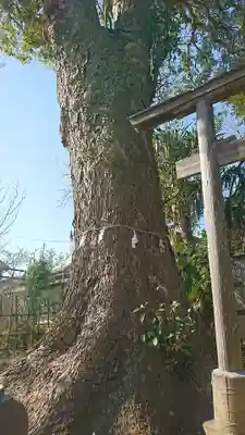 竹駒稲荷神社の自然