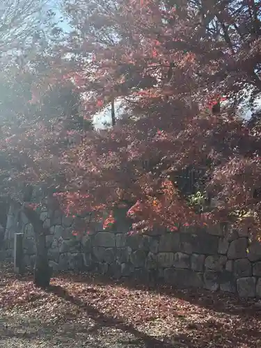 北野天満宮(京都府)