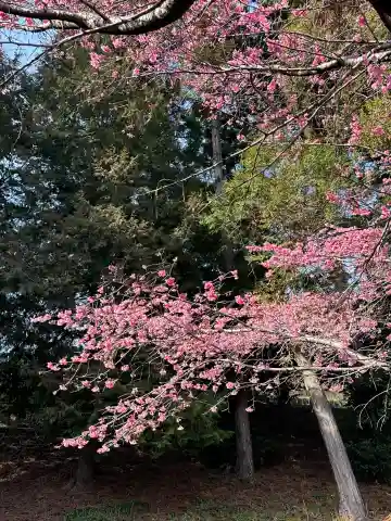八幡神社(神奈川県)