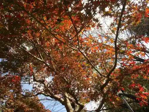 長岳寺(奈良県)