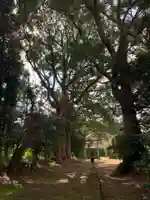 稲荷大神(千葉県)