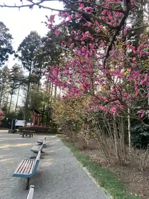 芳賀天満宮(栃木県)
