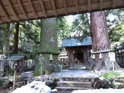 鳴谷神社(三重県)