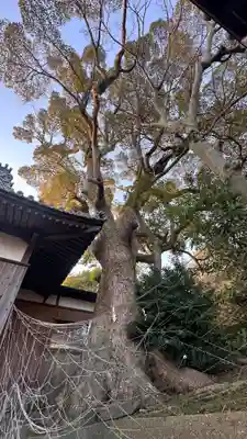 岩屋八幡神社(兵庫県)