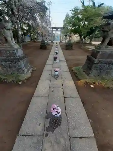伏木香取神社の自然