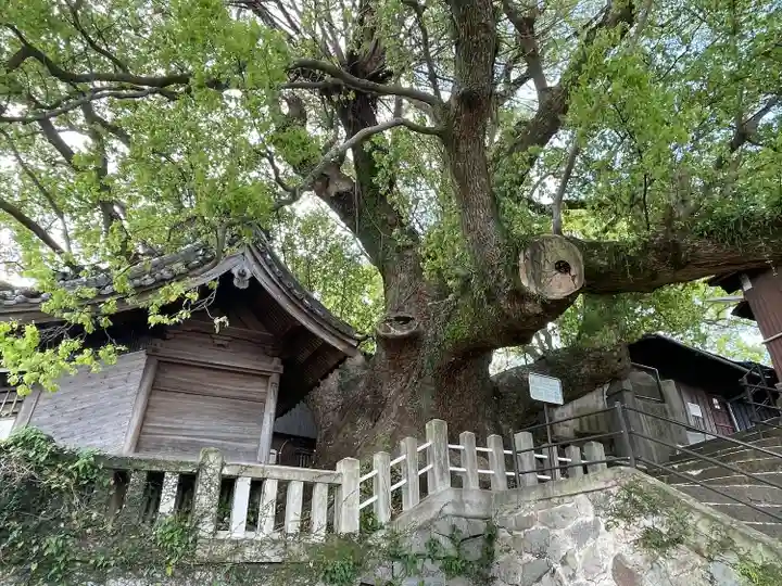 楠稲荷神社(長崎県)