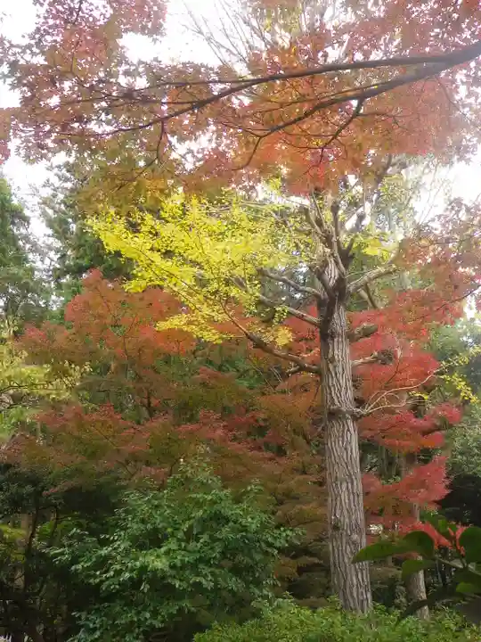 鶴岡八幡宮の自然