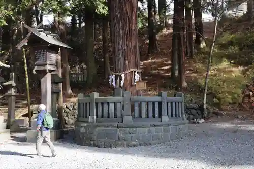 諏訪大社下社春宮(長野県)