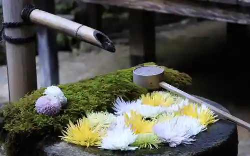 柳谷観音　楊谷寺(京都府)
